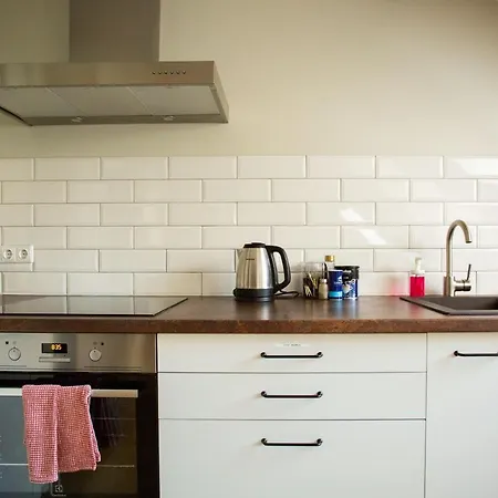 Vilnius Downtown Apartment *