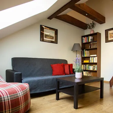 Vilnius Downtown Apartment * Vilnius